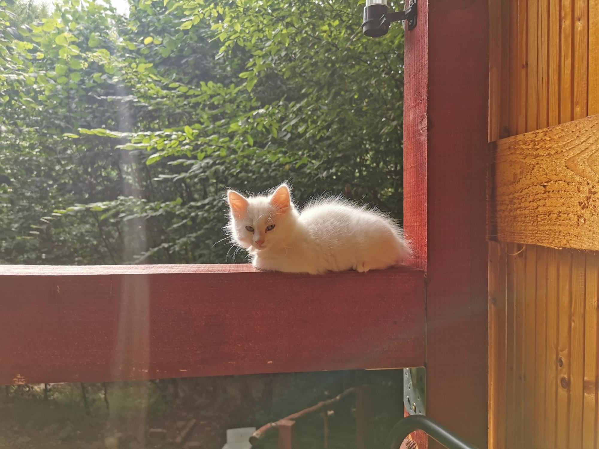 Cabana Lucia Tarcău-Gheuca Kültér fotó